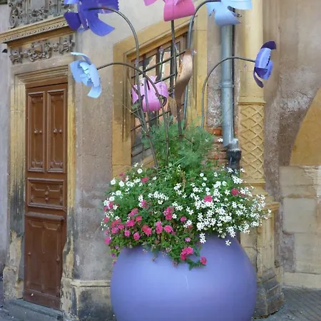 Appartement La Fabiola Colmar