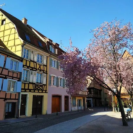 La Fabiola Apartamento