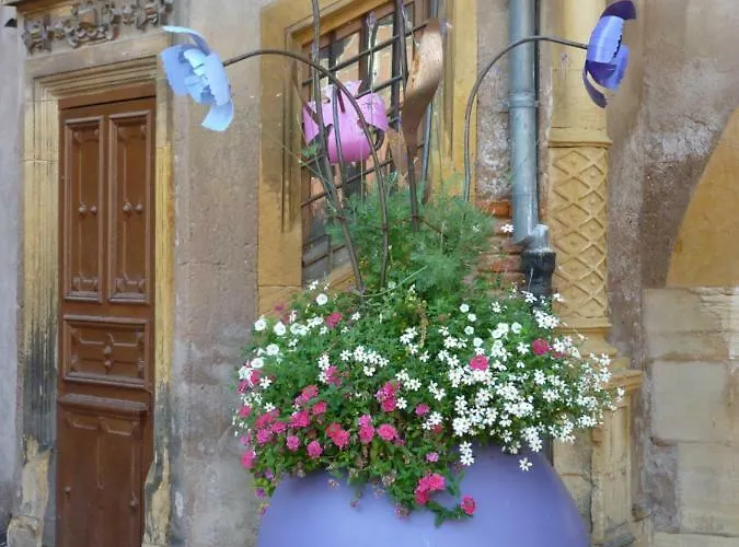 Apartamento La Fabiola Colmar