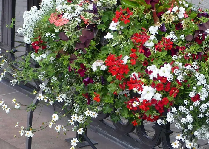 Apartamento La Fabiola Colmar